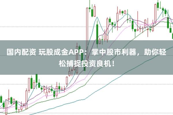 国内配资 玩股成金APP：掌中股市利器，助你轻松捕捉投资良机！
