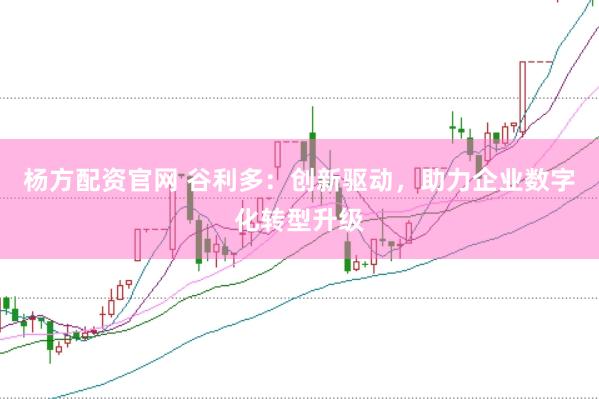 杨方配资官网 谷利多：创新驱动，助力企业数字化转型升级
