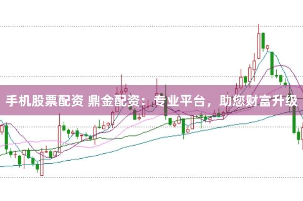 手机股票配资 鼎金配资：专业平台，助您财富升级