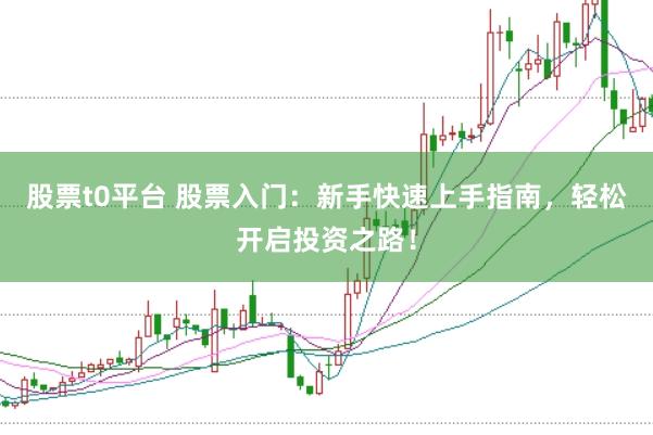 股票t0平台 股票入门：新手快速上手指南，轻松开启投资之路！