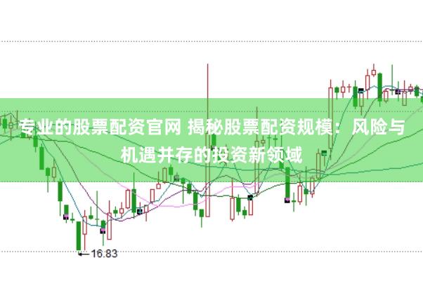 专业的股票配资官网 揭秘股票配资规模：风险与机遇并存的投资新领域