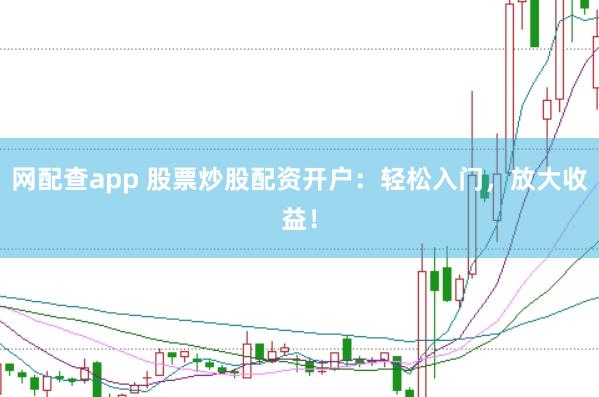 网配查app 股票炒股配资开户：轻松入门，放大收益！