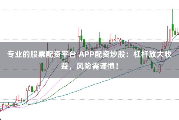 专业的股票配资平台 APP配资炒股：杠杆放大收益，风险需谨慎！