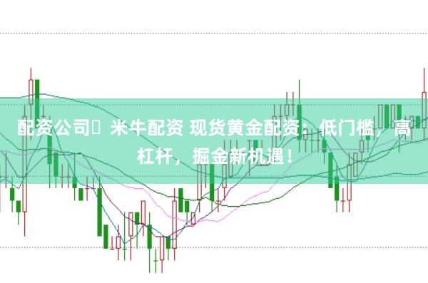 配资公司々米牛配资 现货黄金配资：低门槛，高杠杆，掘金新机遇！