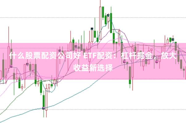 什么股票配资公司好 ETF配资：杠杆掘金，放大收益新选择