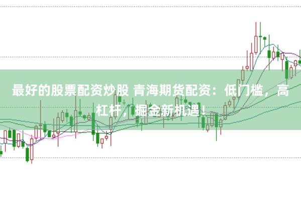最好的股票配资炒股 青海期货配资:低门槛,高杠杆,掘金新机遇!