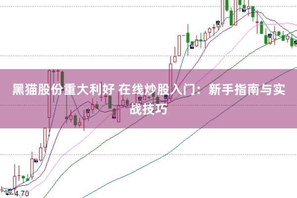黑猫股份重大利好 在线炒股入门：新手指南与实战技巧