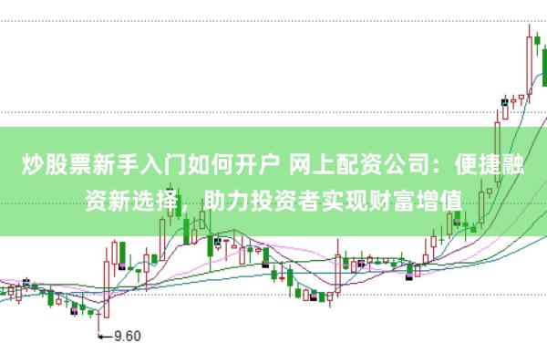 炒股票新手入门如何开户 网上配资公司：便捷融资新选择，助力投资者实现财富增值