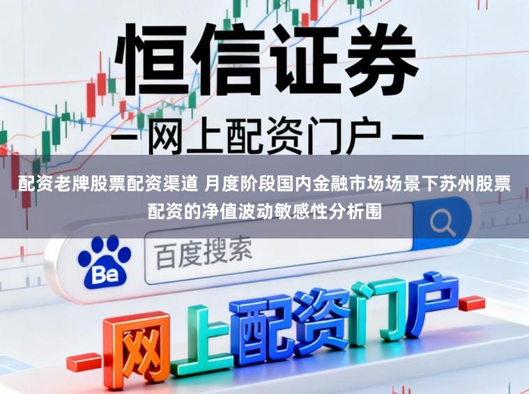 配资老牌股票配资渠道 月度阶段国内金融市场场景下苏州股票配资的净值波动敏感性分析围