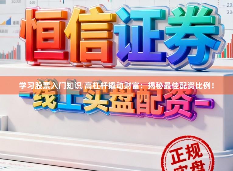 学习股票入门知识 高杠杆撬动财富：揭秘最佳配资比例！